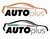 Logo Autoplus di Dini Ylenia